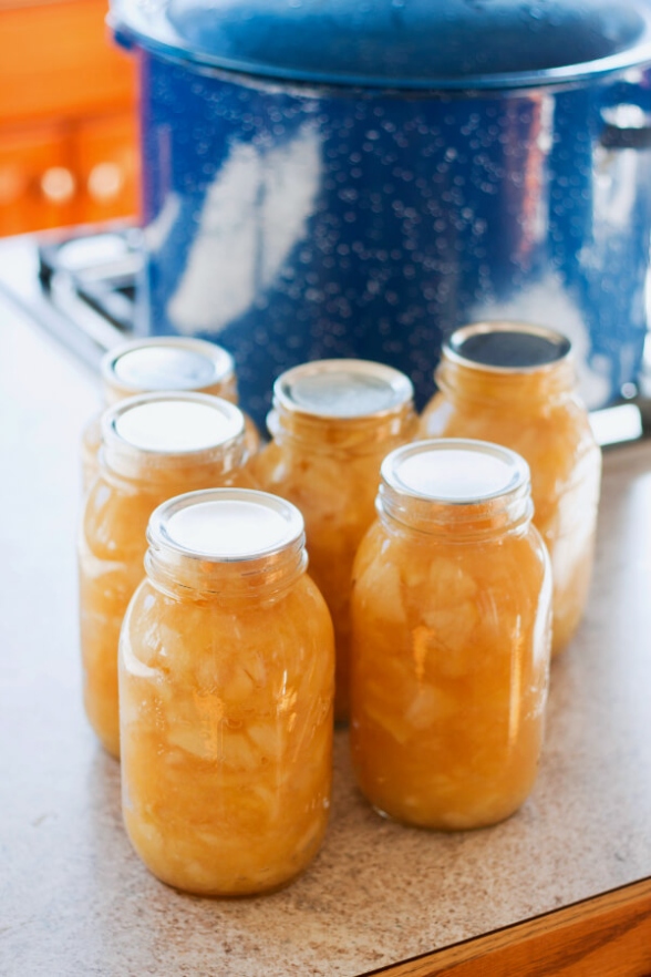 Backdate 5 Canning Apple Pie Filling Recipe