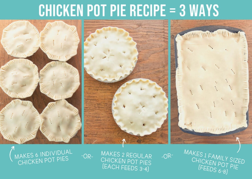 Niche Utama 1 Seriously Easy Chicken Pot Pie  HappyMoneySaver