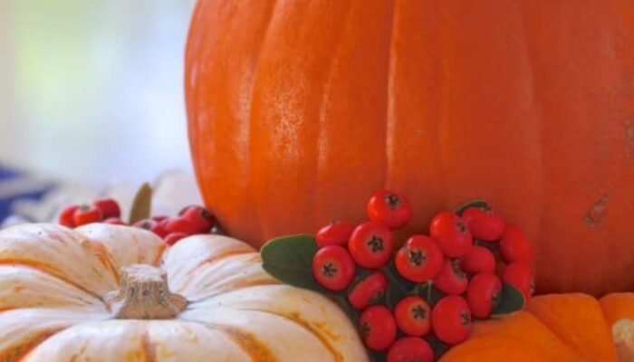 Pumpkin Pie Perfection: Mastering The Art Of Cooking Pie Pumpkins