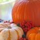 Pumpkin Pie Perfection: Mastering The Art Of Cooking Pie Pumpkins