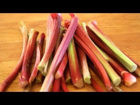 Niche Utama 2 Rhubarb  - Everything You Need To Know About Rhubarb