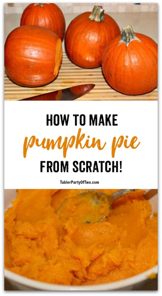 Niche Utama 2 Scratch Pumpkin Pie